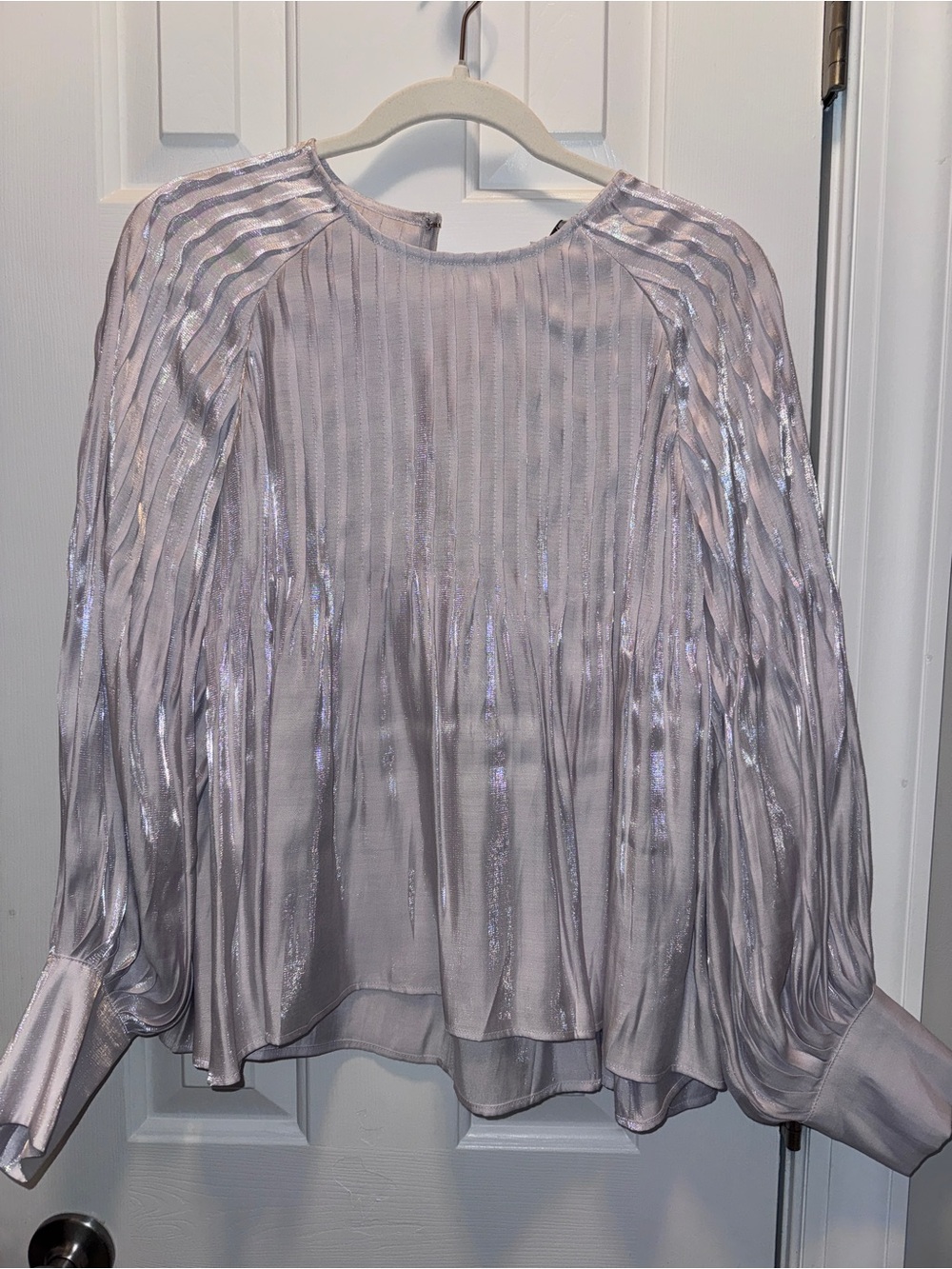 Pinch Metallic silver Pleated Long-Sleeve Blouse